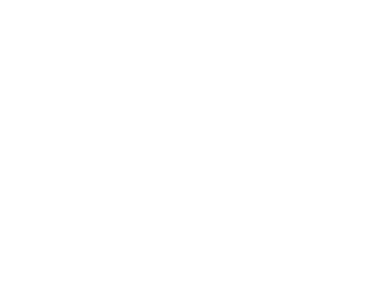 Wiegmann Consulting